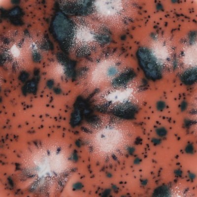 CG980 - Coral Puff 