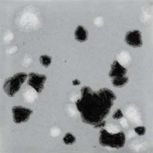 CG1016 - Asteroid