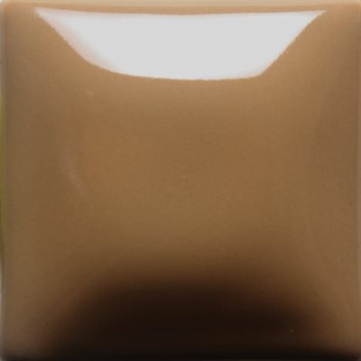 FN-22 Tan