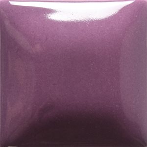 FN-36 Grape