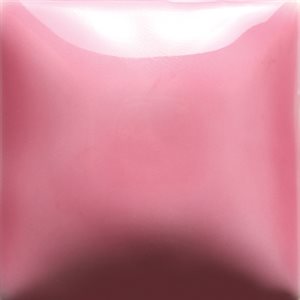 FN-48 Bright Pink