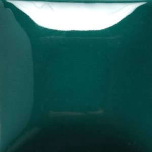 SC10 - Teal Next Time