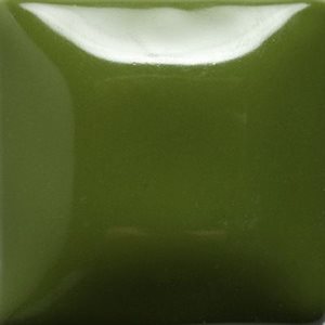 SC39-Army Surplus