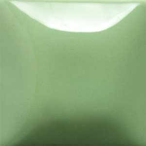 SC43-Lettuce Alone
