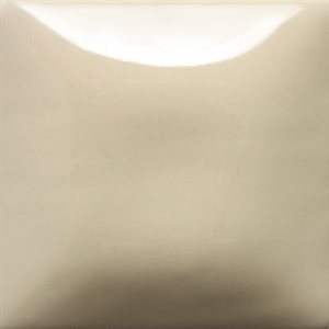 SC54-Vanilla Dip