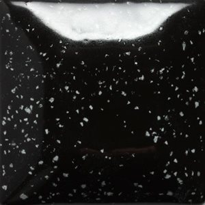 SP215-Speckled Tuxedo