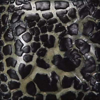 SW404-Black Mudcrack