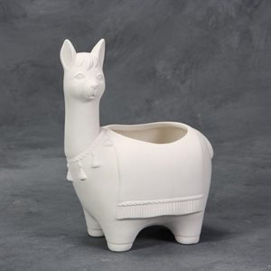 Llama Container 