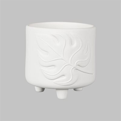 Monstera Footed Container