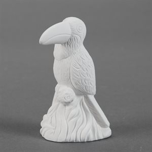 Rainforest Toucan