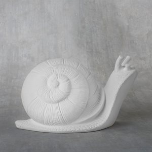 Garden Snail 