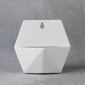 Hexagon Wall Planter