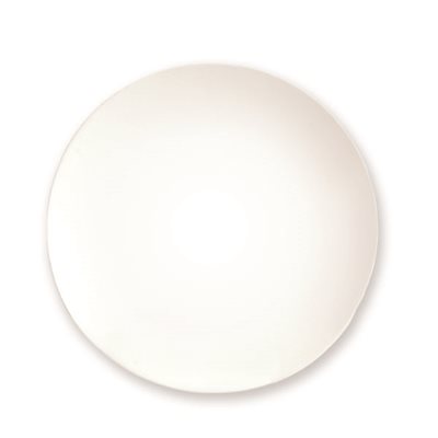 10" Dinner Coupe