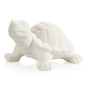 Garden Turtle 
