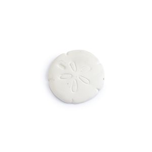 Sand Dollar Bisquie