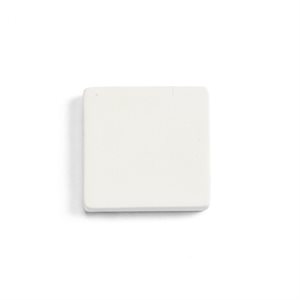 2" Square Bisquie