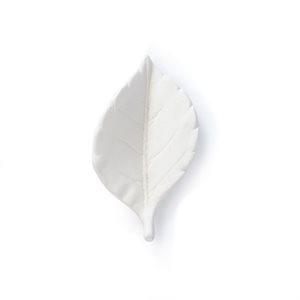 Oval Leaf Bisquie 
