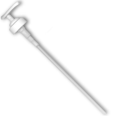 Pompette Blanche