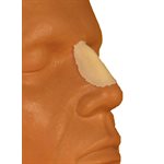 Small Aquiline Nose