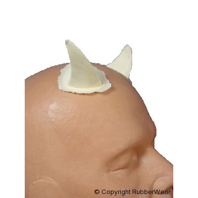 Large Horns Large Horns