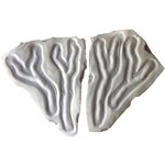 Hand Veins L & R Hand Veins L & R