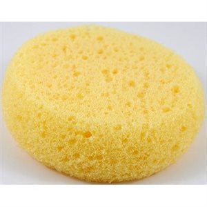Synthetic Sponge